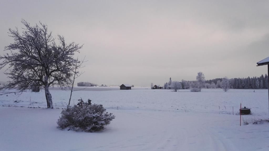 Фермерские дома Levomäki Farm Cottages Ypäjä